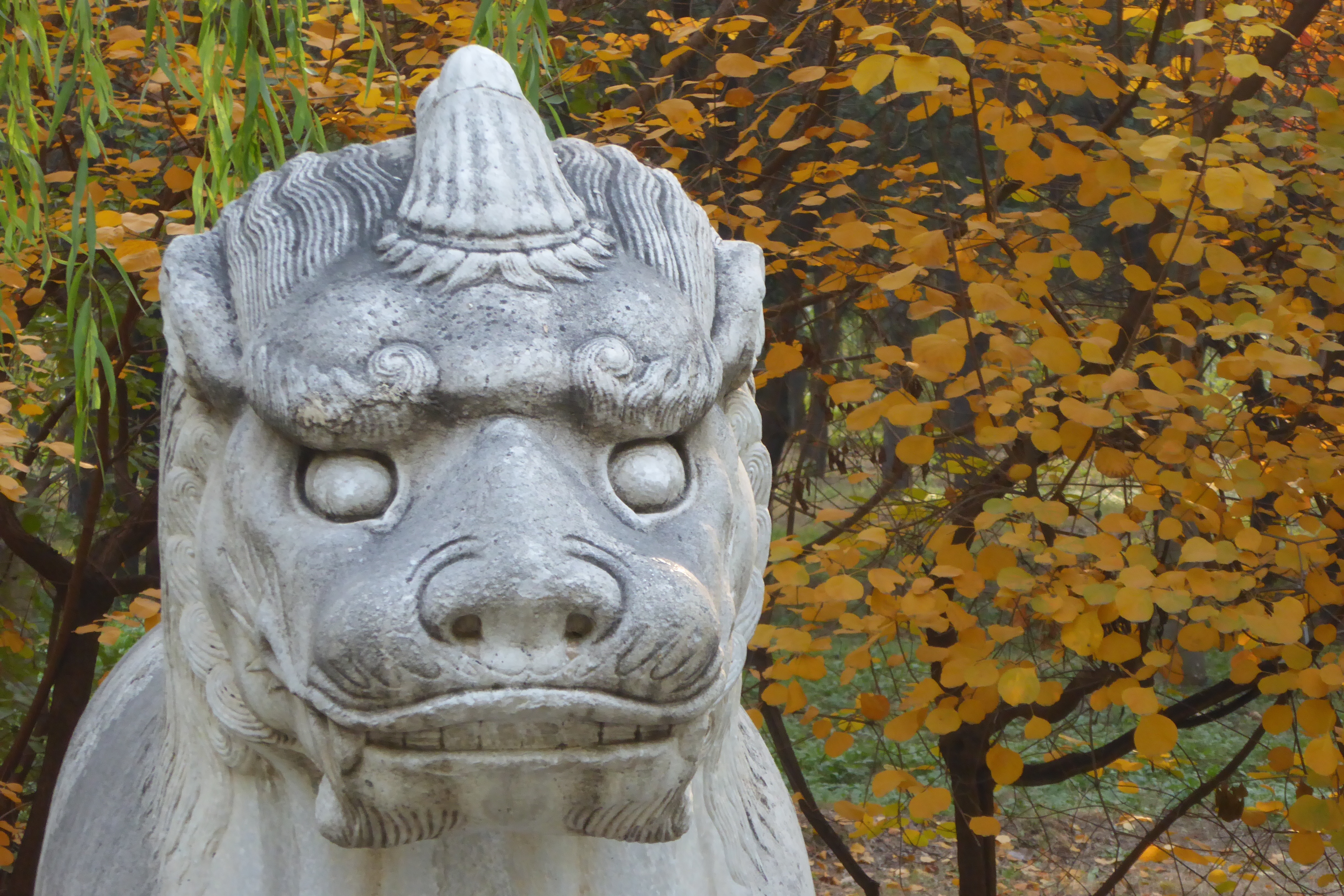 A lion statue at the Ming tombs in Beijing